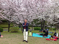 sakura2apr2017.jpg